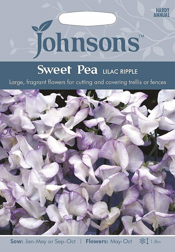 sweetpea lilac lipple