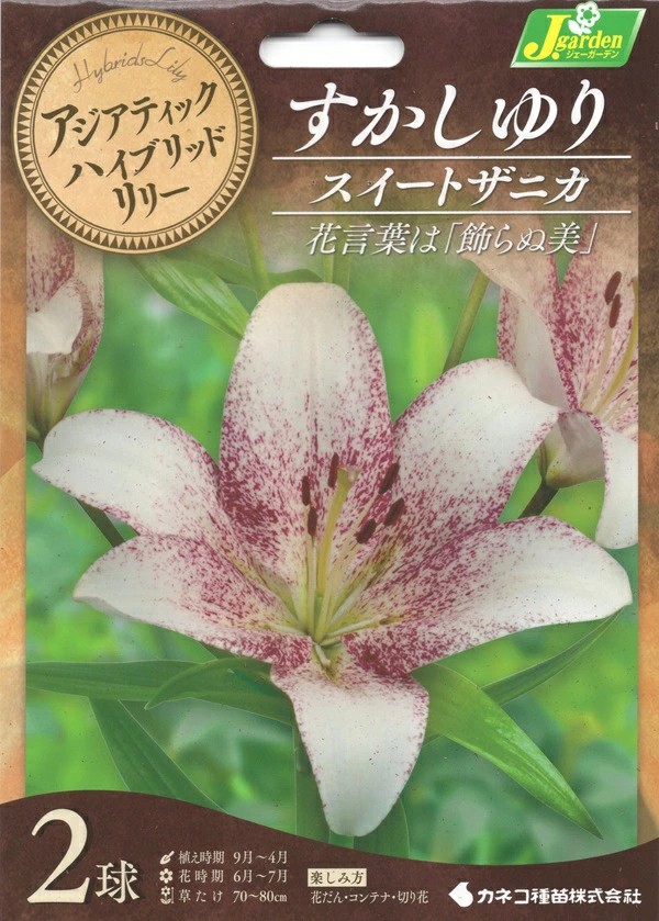 すかしゆりスイートザニカ