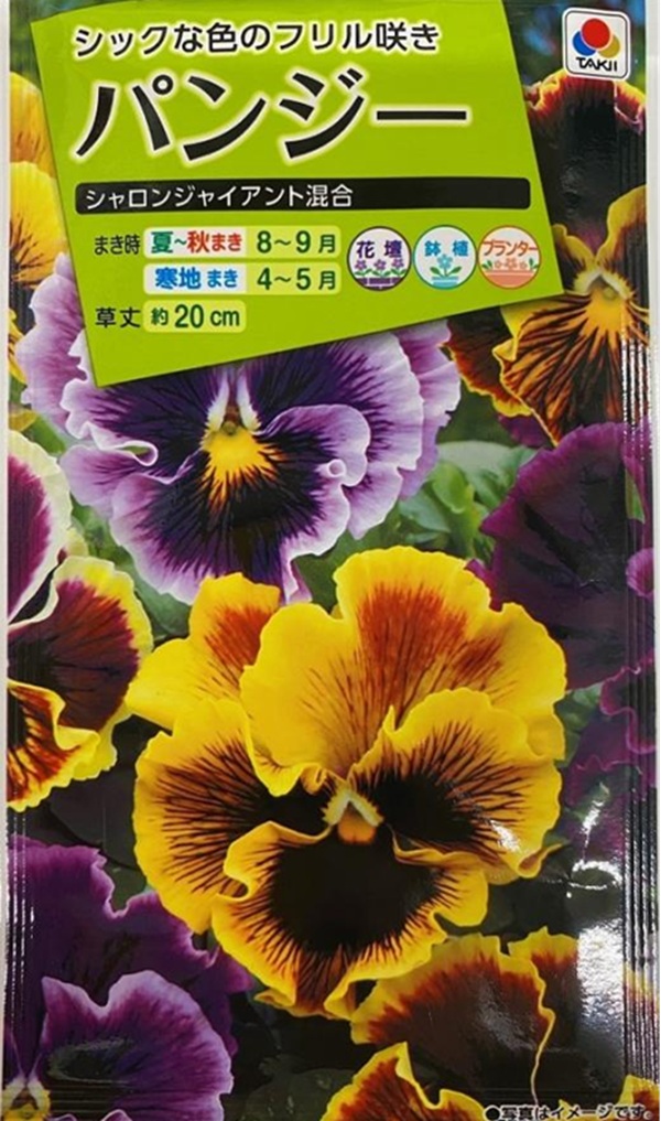 パンジー シャロンジャイアント混合