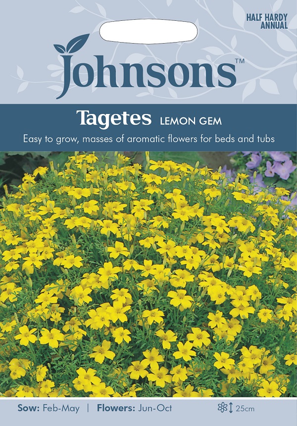 Johnsons Seeds Tagetes LEMON GEM タゲテス レモン・ジェム