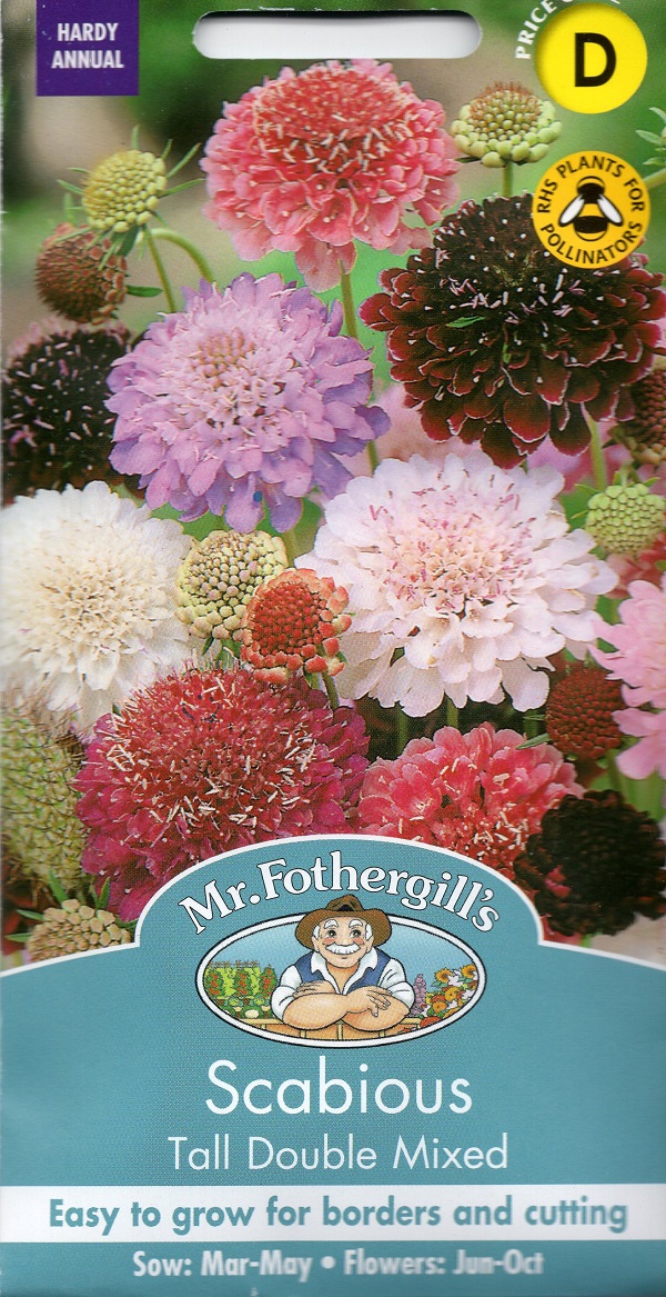 スカビオサ トール・ダブル・ミックス