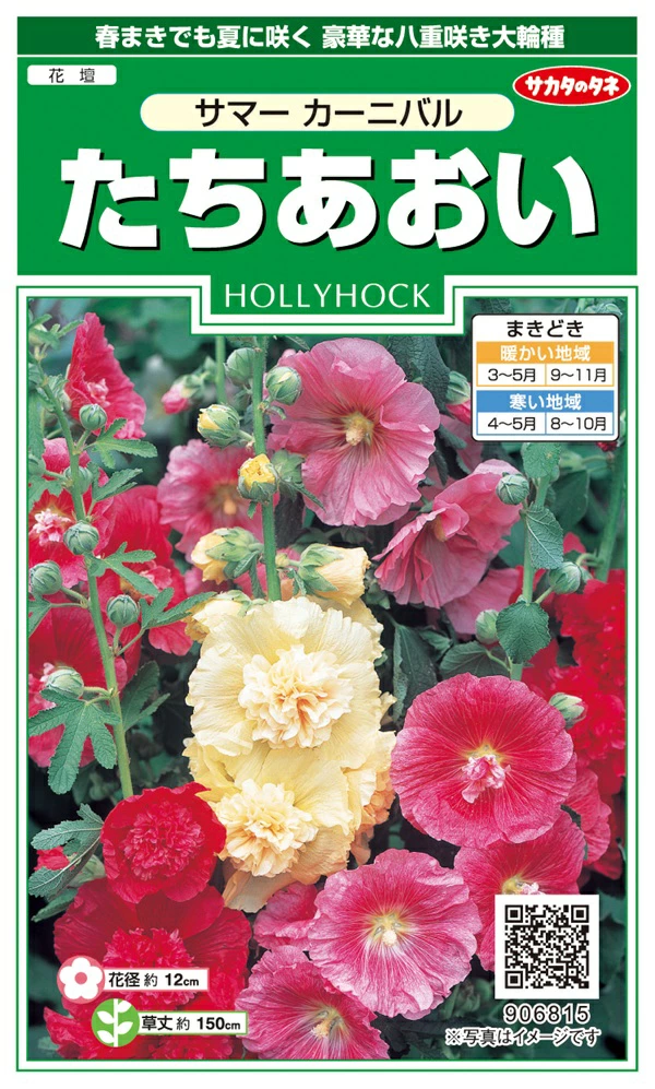 たちあおいサマーカーニバル