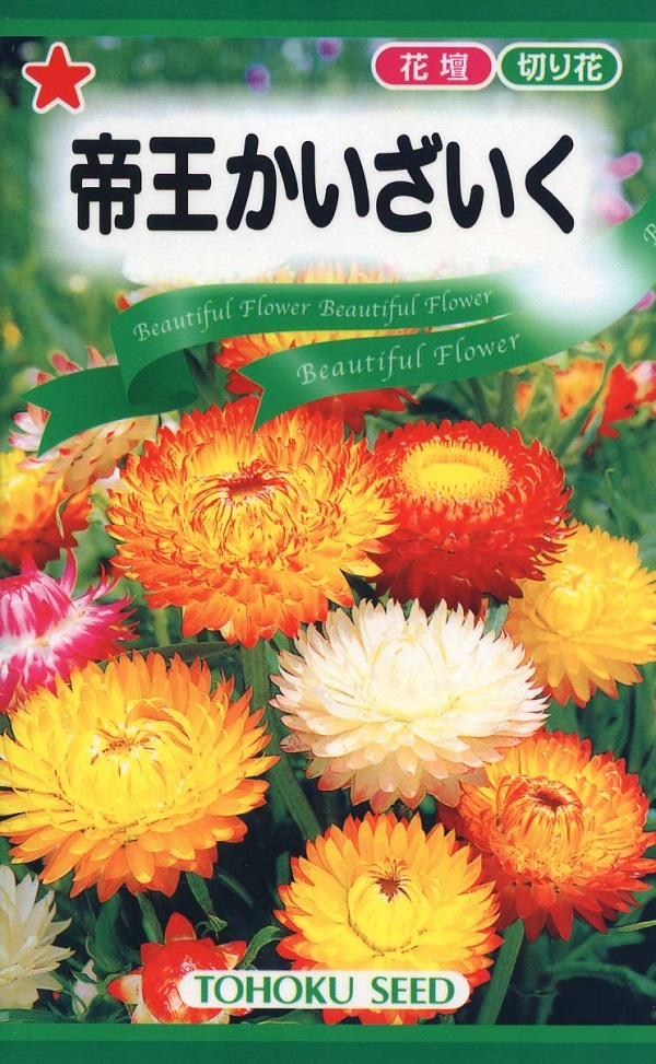 帝王かいざいく
