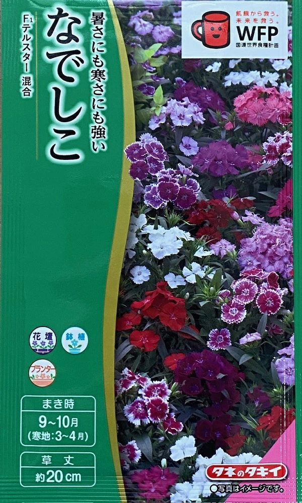 なでしこテルスター混合