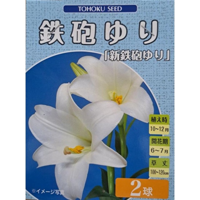 鉄砲ゆり