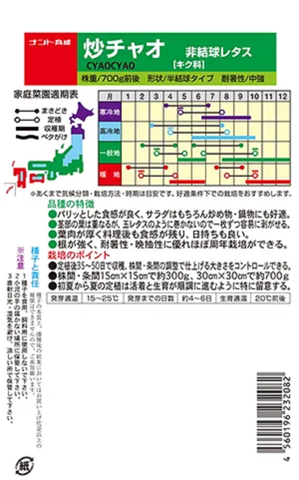 炒チャオ2