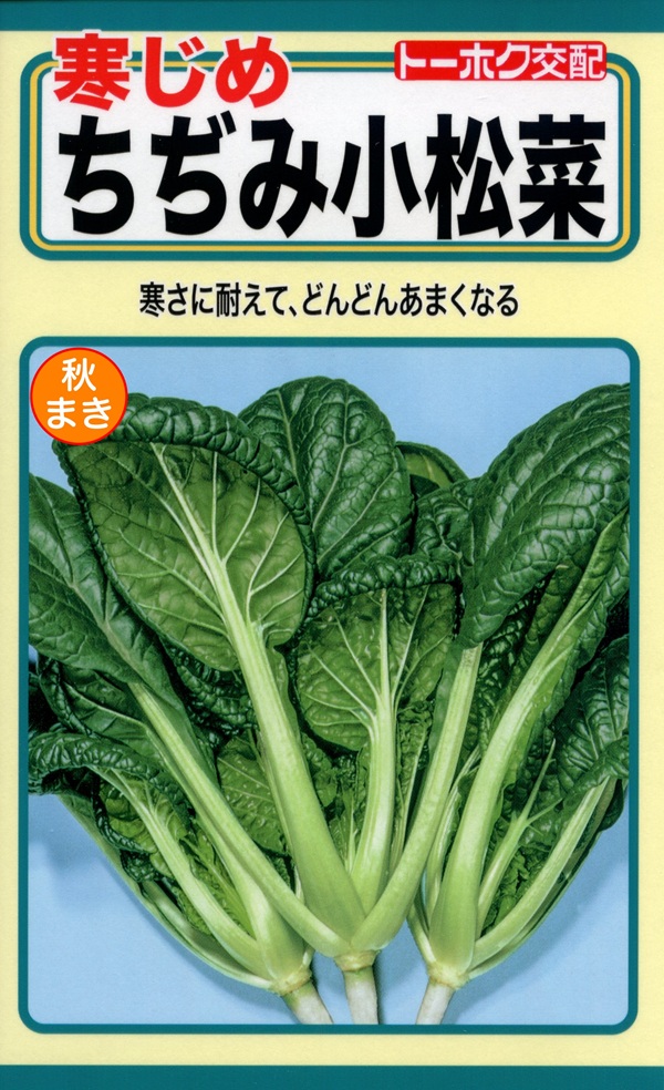 ちぢみ小松菜