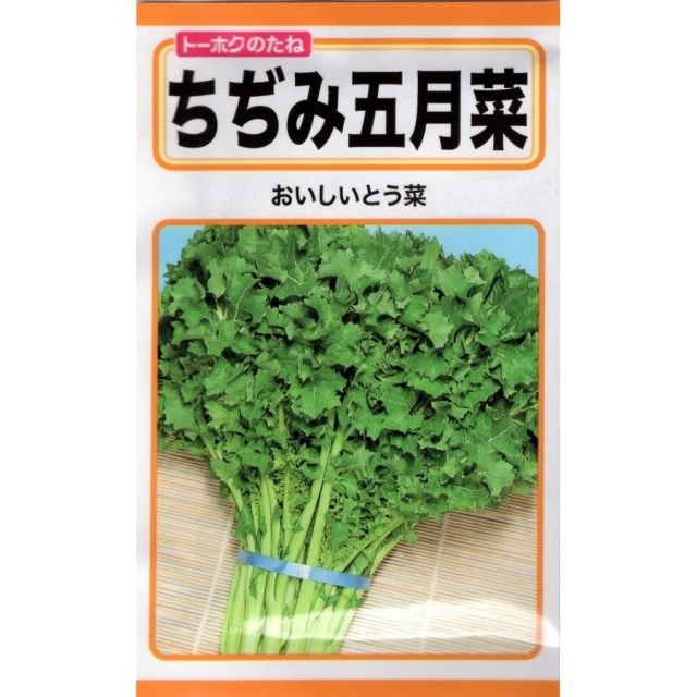 ちぢみ五月菜