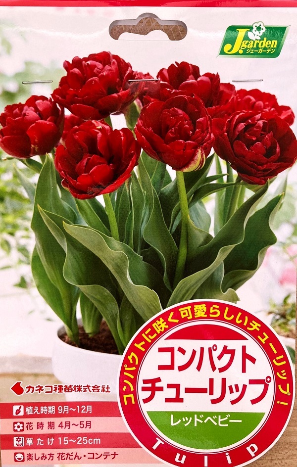 レッドベビー