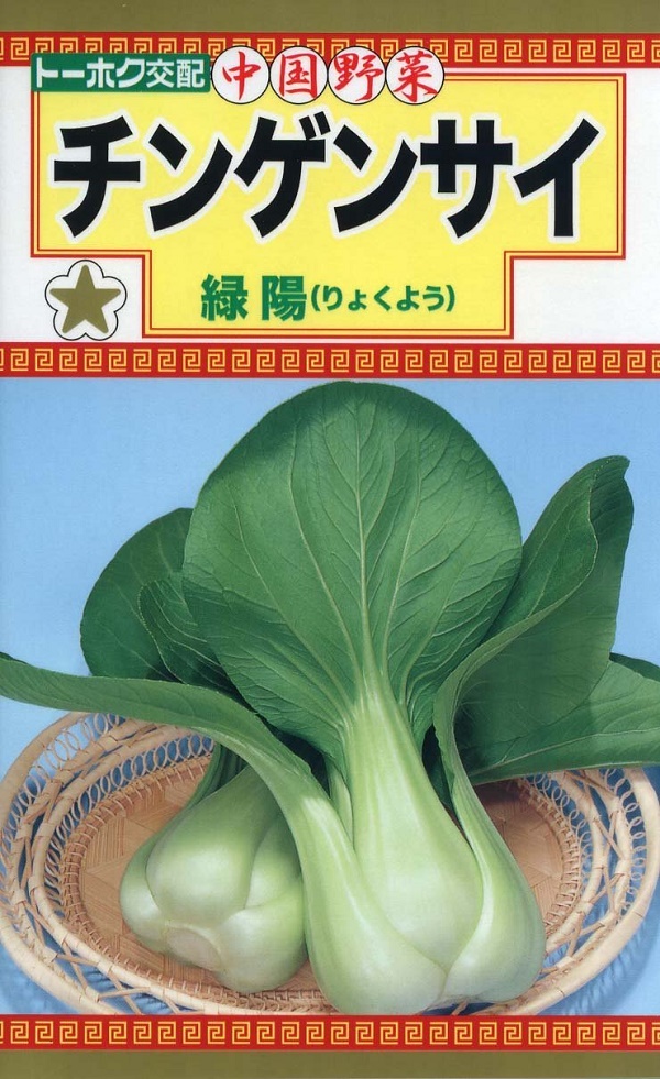 チンゲンサイ緑陽