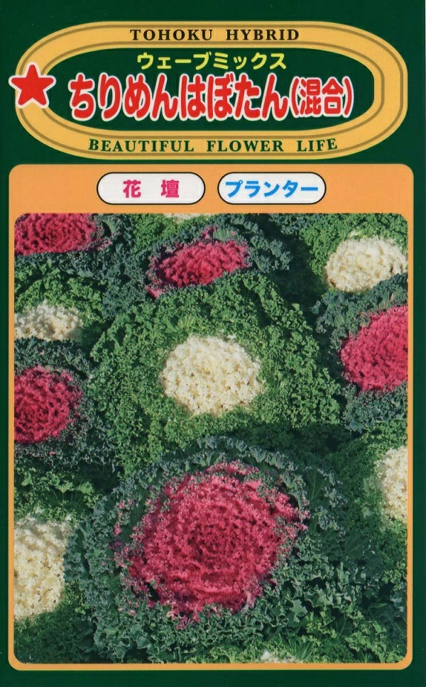 ちりめんはぼたん（混合） ウェーブミックス