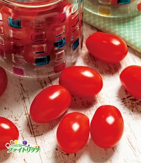 tomato-chiko-1