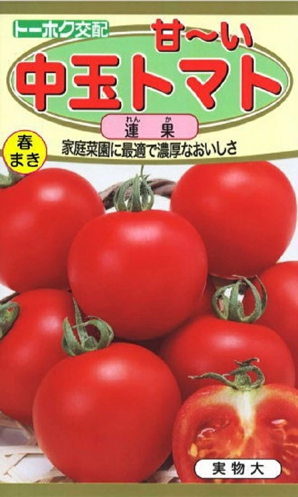 中玉トマト 連果（れんか）