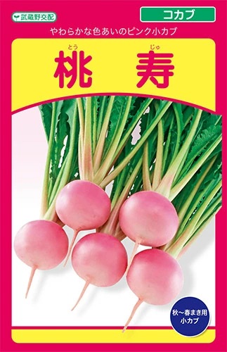 コカブ　桃寿