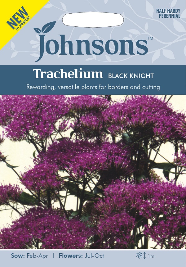 Johnsons Seeds Trachelium BLACK KNIGHT トラケリウム ブラック・ナイト