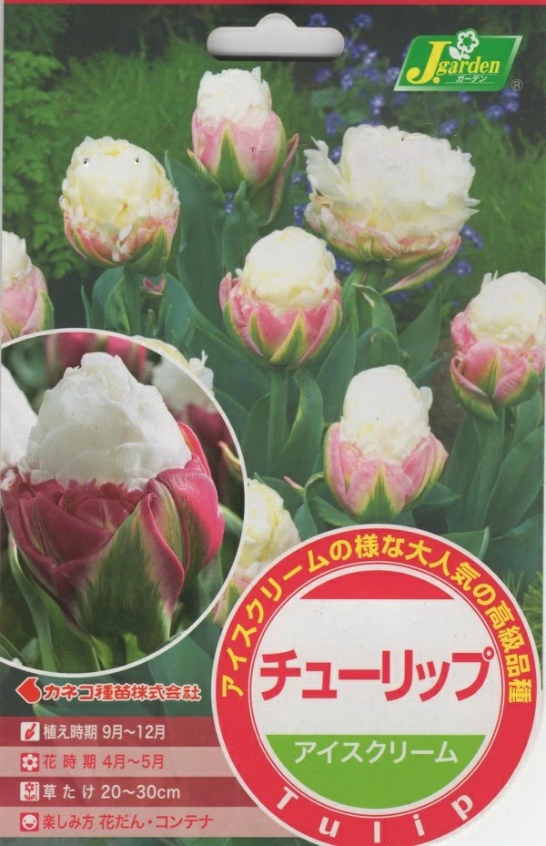 チューリップアイスクリーム