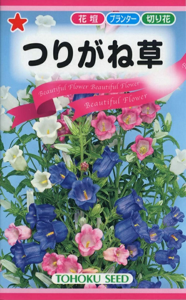 つりがね草