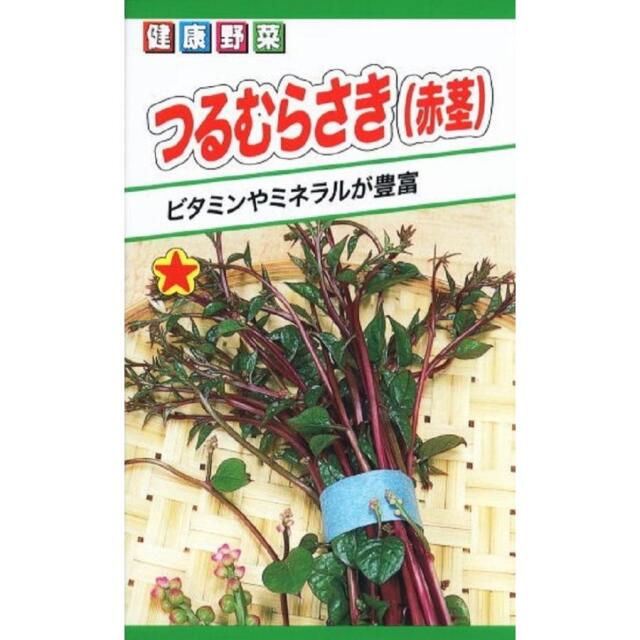 つるむらさき（赤）トーホク