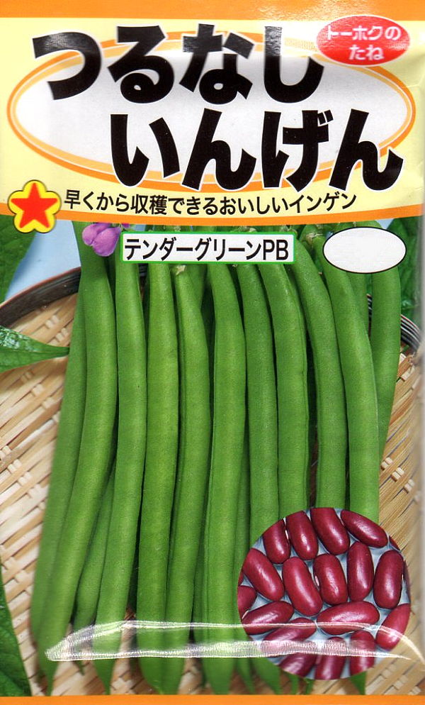 インゲン