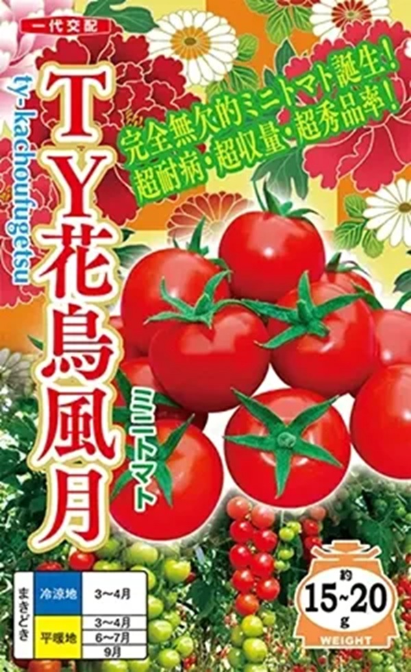 tykachoufuugetu
