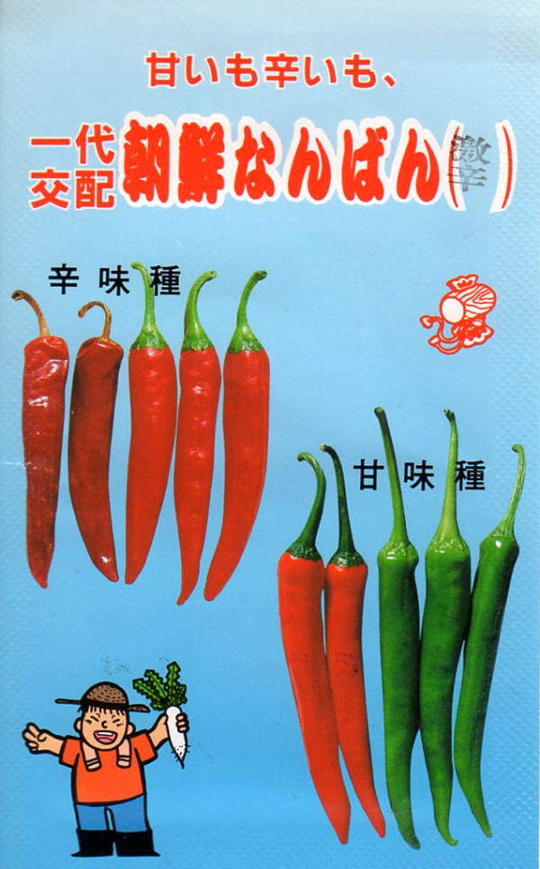 朝鮮なんばん