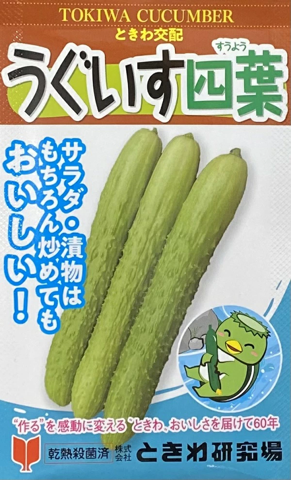 キュウリうぐいす四葉