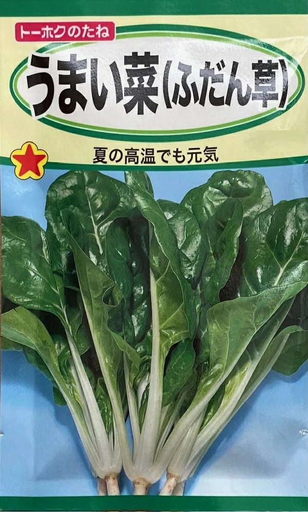 うまい菜（ふだん草）