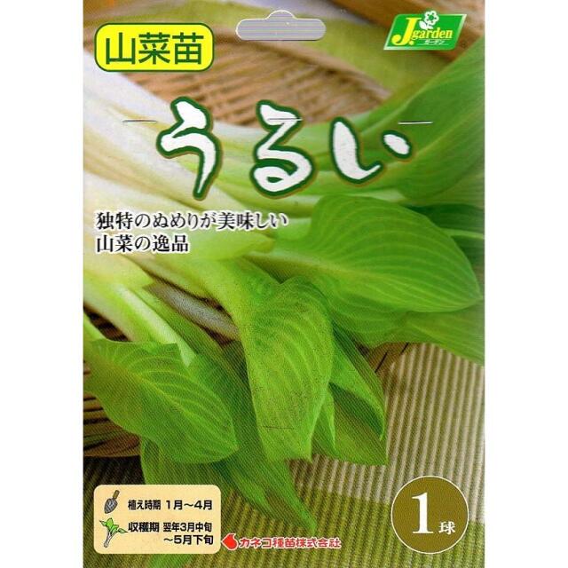 うるい
