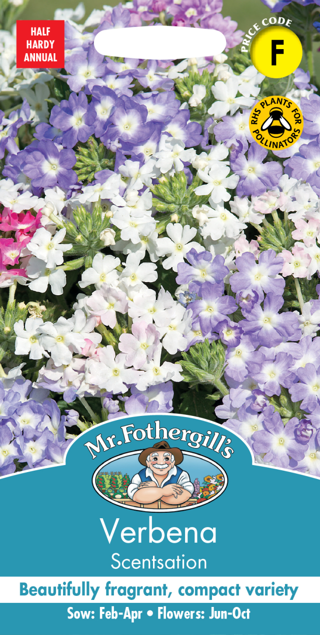 バーベナ センセーション