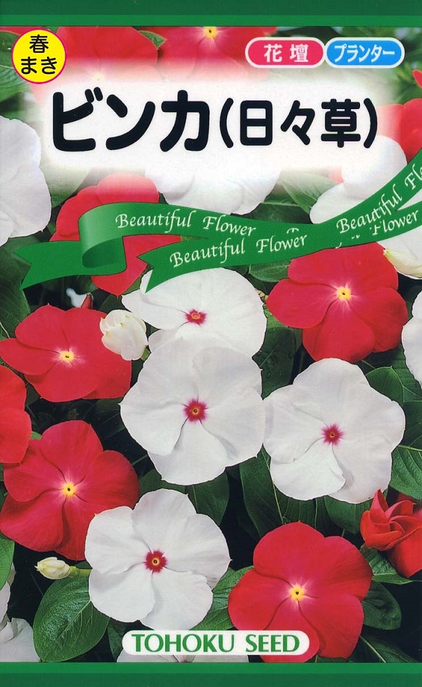 トーホクビンカ