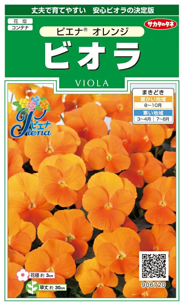 ビオラピエナオレンジ