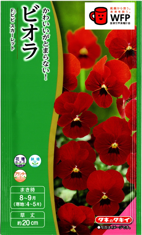 ビオラスカーレット