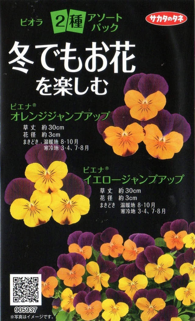 冬でもお花を楽しむビオラアソートパック