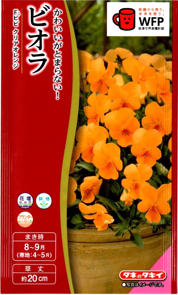 ビオラビビスクリアオレンジ