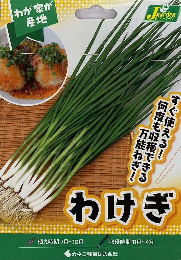 わけぎ