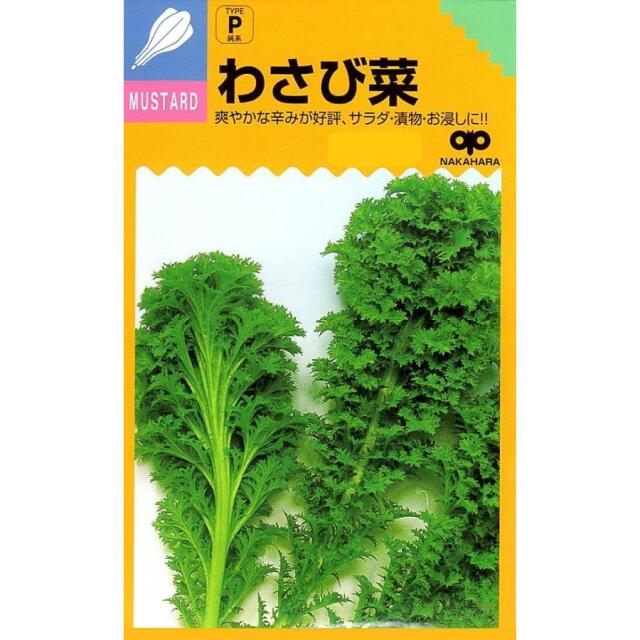 わさび菜中原採種場