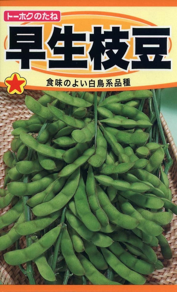 早生枝豆