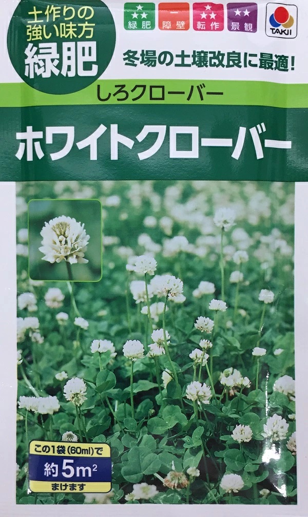 ホワイトクローバー
