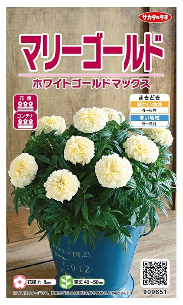 マリーゴールド ホワイトゴールド マックス