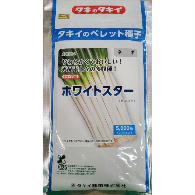 ネギ ホワイトスター（根深ネギ） ペレット 2L サイズ(5千粒)
