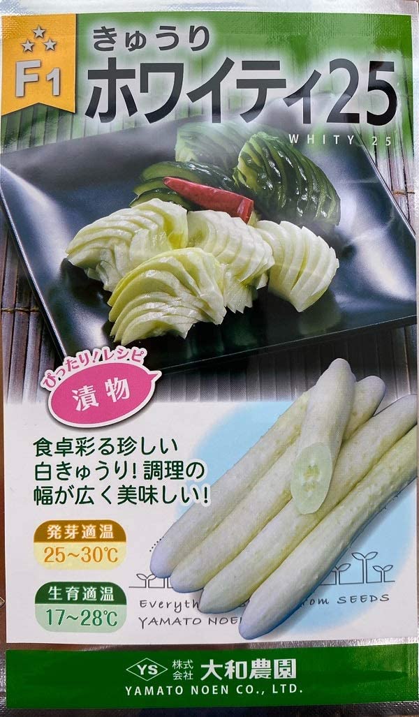 きゅうりホワイティ25