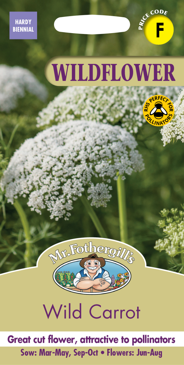 ワイルド・キャロット