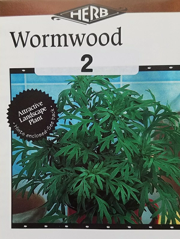 ワームウッド2