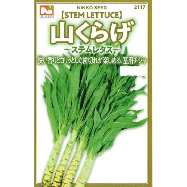 山クラゲ