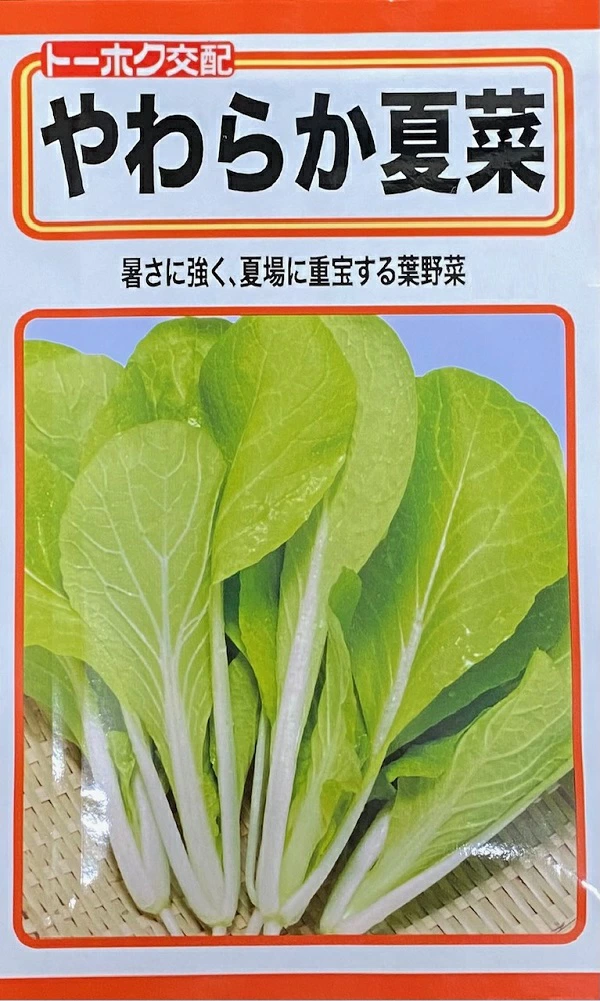 やわらか夏菜