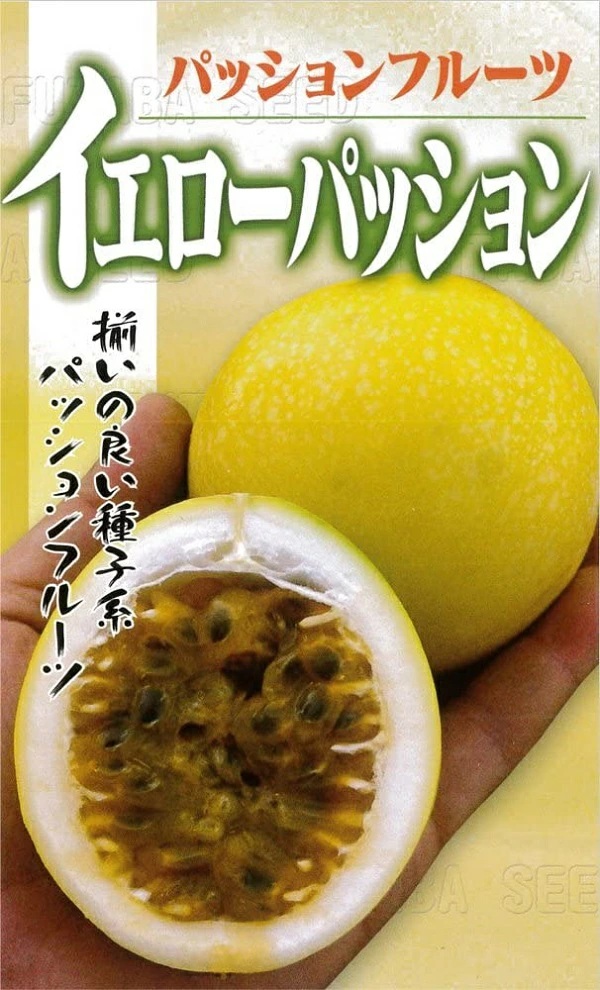 パッションフルーツ　イエローパッション