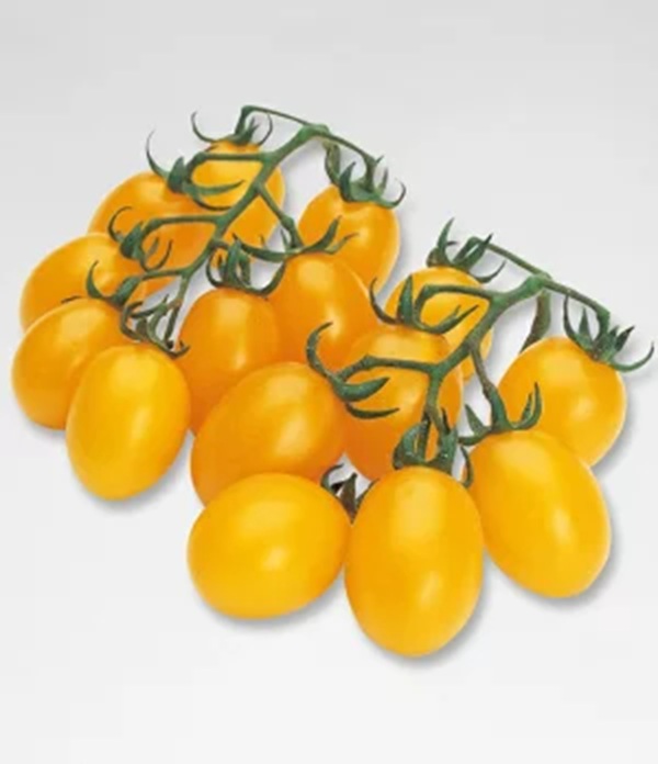 yellow-pico-1