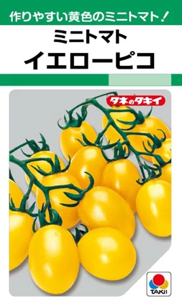 yellow-pico
