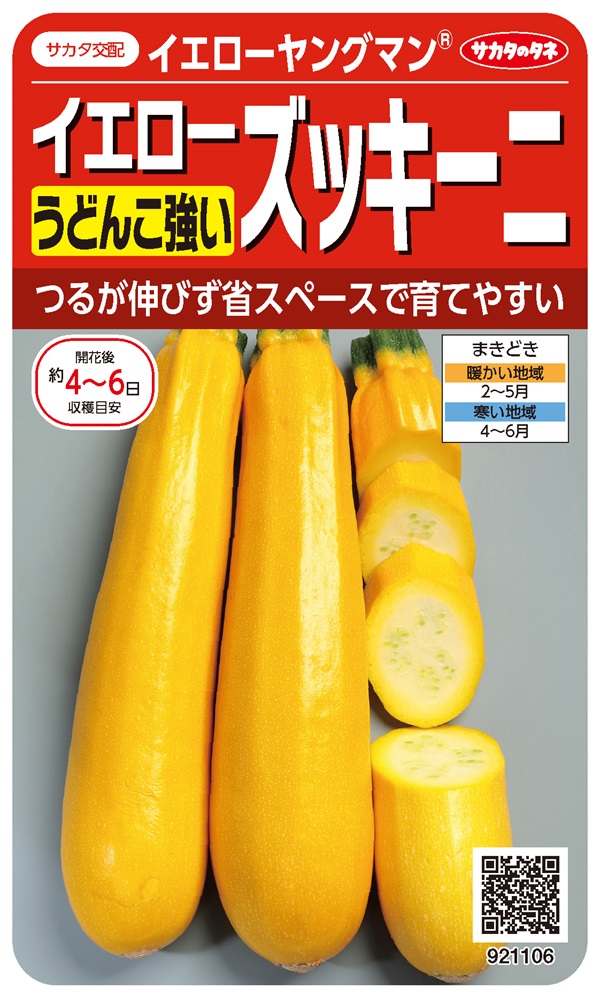 ズッキーニイエローヤングマン
