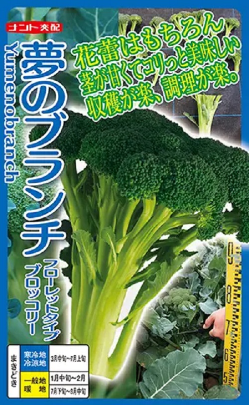 夢のブランチ